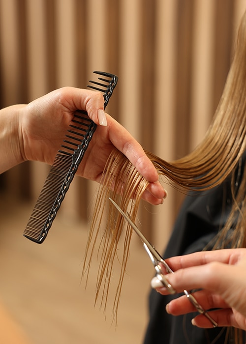 Coupe de cheveux pour femme